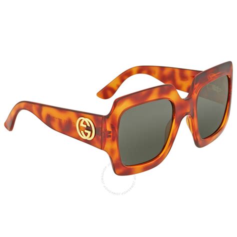 gucci havana sunglasses nordstrom rack|gucci brown havana oversized sunglasses.